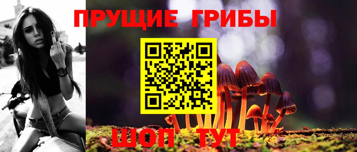 Галлюциногенные грибы мухоморы Лыткарино